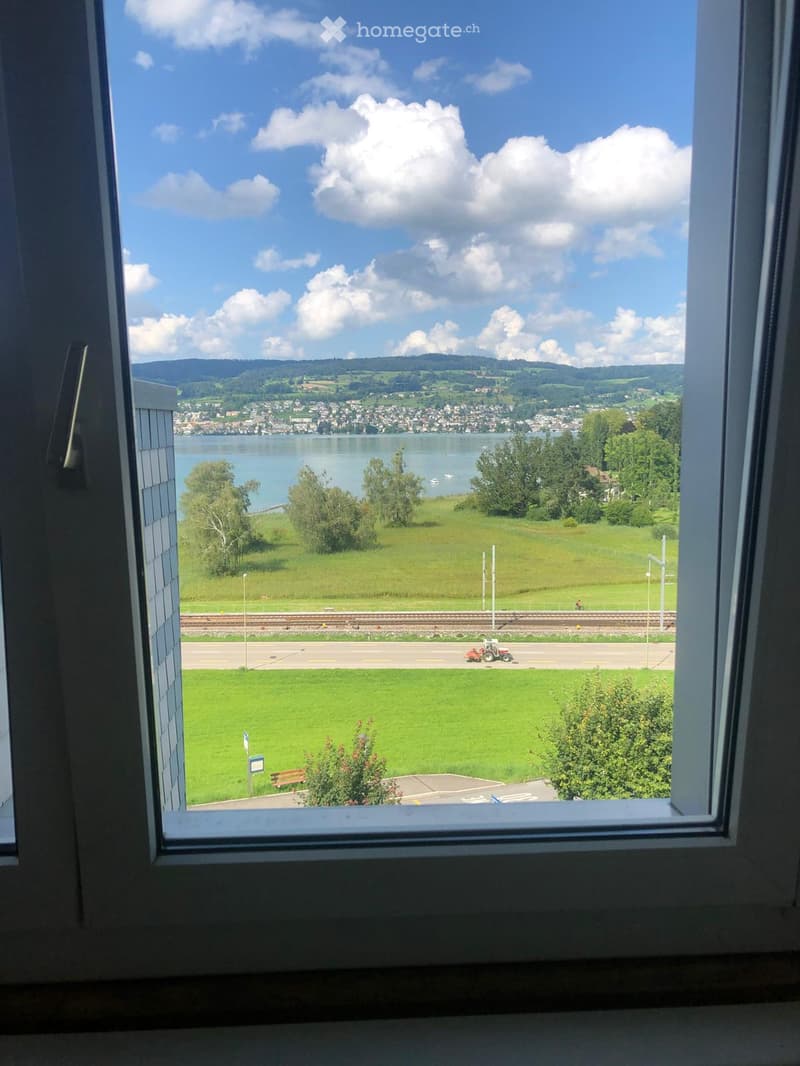 View from a window showing a scenic landscape with a lake, green fields, a town, and distant mountains under a partly cloudy sky.