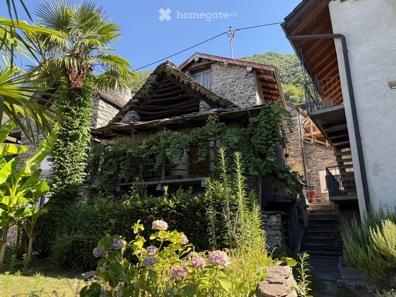 A rustic stone house with a wooden balcony and lush greenery, including palm trees and flowering shrubs, set in a scenic, mountainous area.