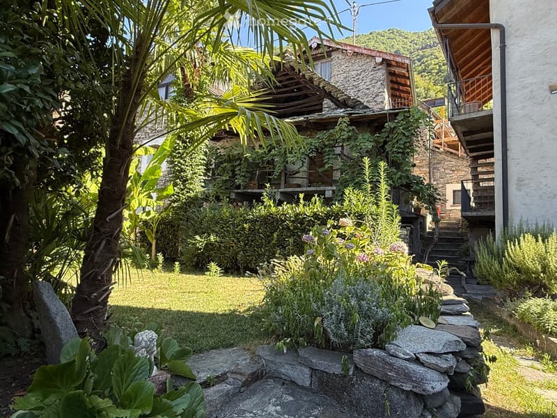 A lush garden area with a stone house, palm tree, various plants, and a stone pathway leading to a wooden staircase.
