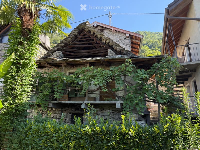 A rustic stone building with a partially collapsed roof, overgrown with vegetation and surrounded by greenery and a palm tree.