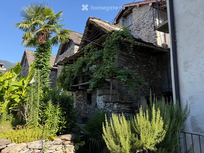 A rustic stone building with a wooden balcony, surrounded by lush greenery including palm trees, shrubs, and climbing plants.