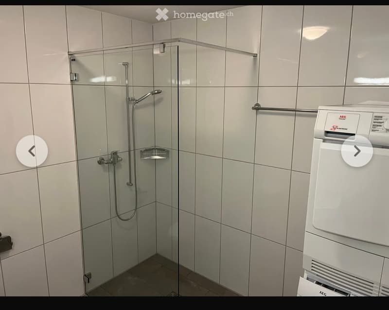 Modern bathroom with a glass-enclosed shower, a showerhead, a small shower rack, and a toilet paper dispenser.