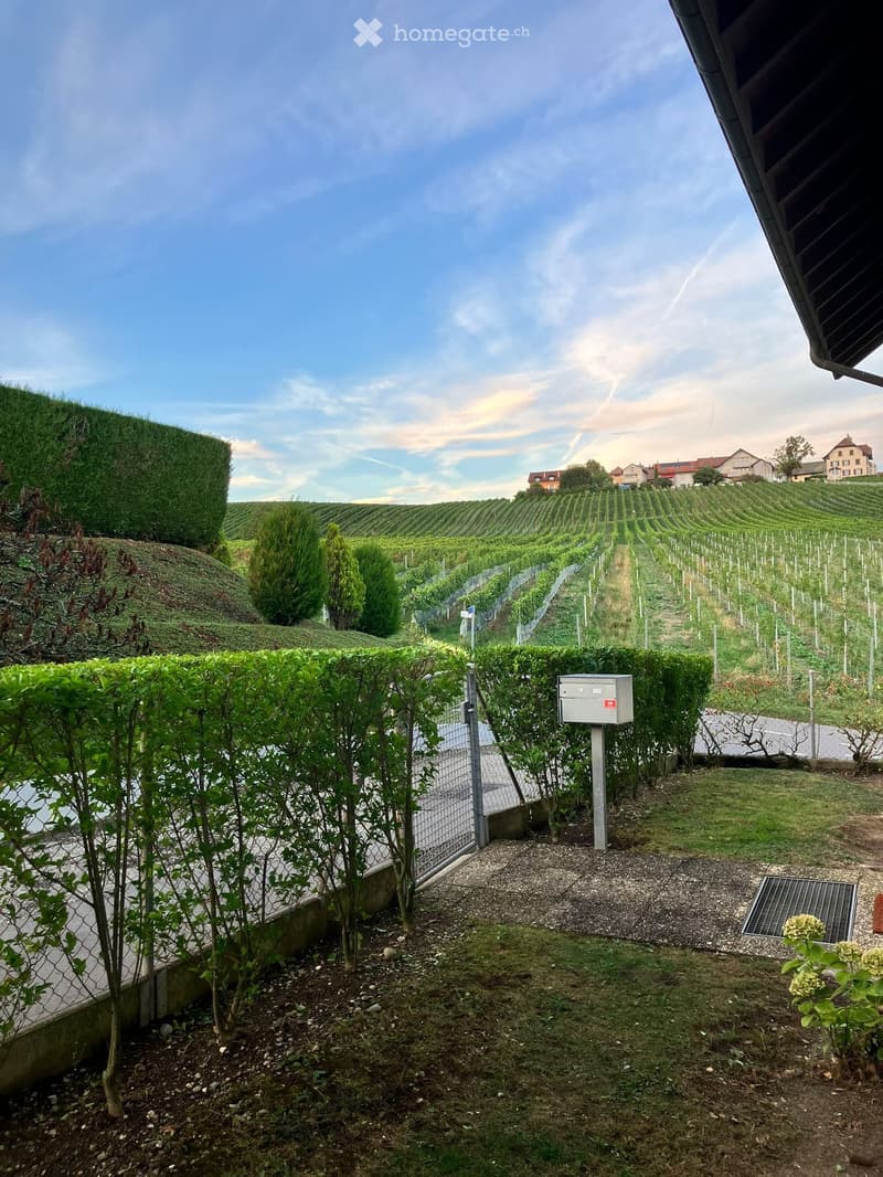 Well-maintained garden with neatly trimmed hedges, small trees, and a gravel pathway leading to a gate. The background features a vineyard and distant houses under a partly cloudy sky.
