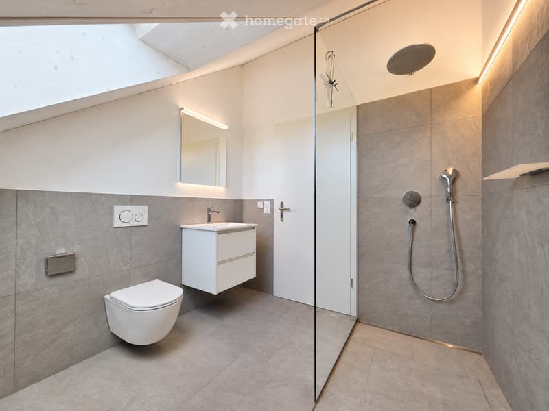 Modern bathroom with a white toilet, sink, mirror, and glass-enclosed shower with a handheld showerhead. Grey tiled walls and floor, sleek fixtures.