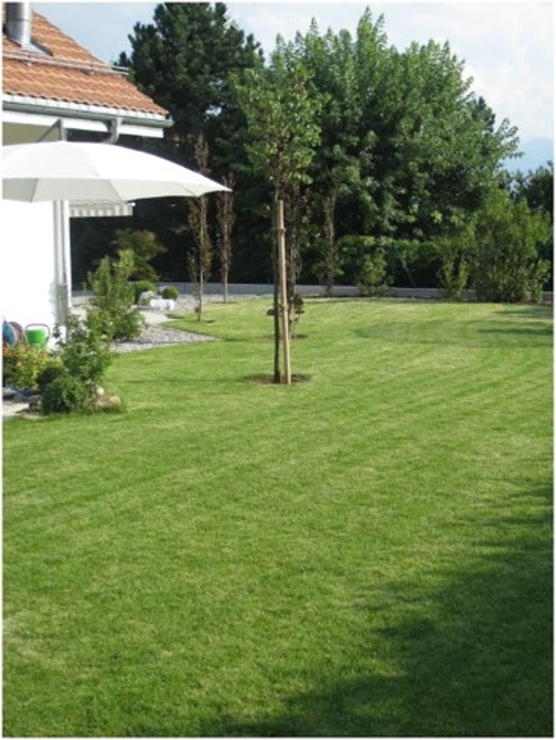 Well-maintained lawn with a single tree, small shrubs, and a white umbrella near the house entrance.