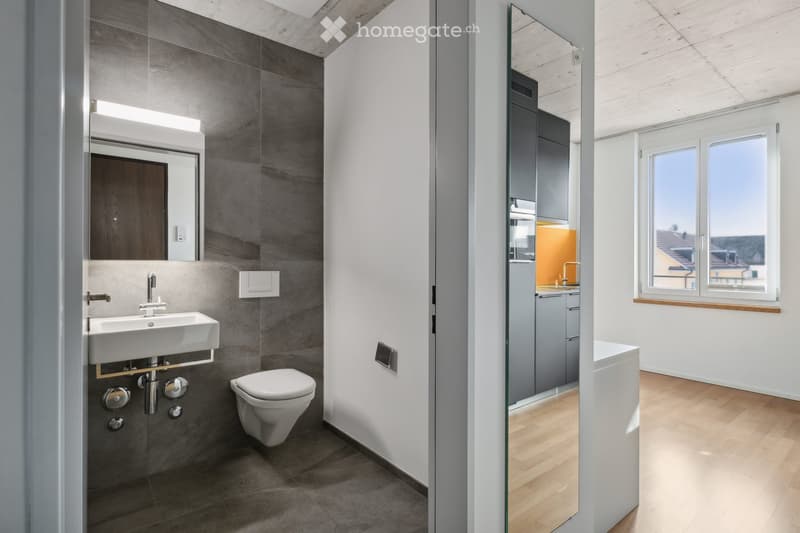 Modern bathroom with a white sink, toilet, and large mirror. The walls are tiled in grey, and the floor is also grey. A glass partition separates the bathroom from the adjacent room.