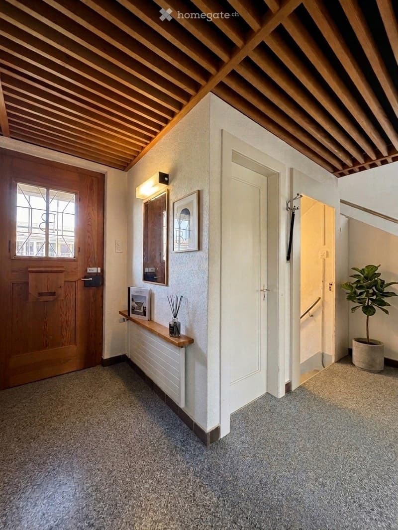 Carpeted hallway with wooden ceiling beams, white walls, and a small plant in a pot. Features a wooden door, a small shelf with decorative items, and a framed picture on the wall.