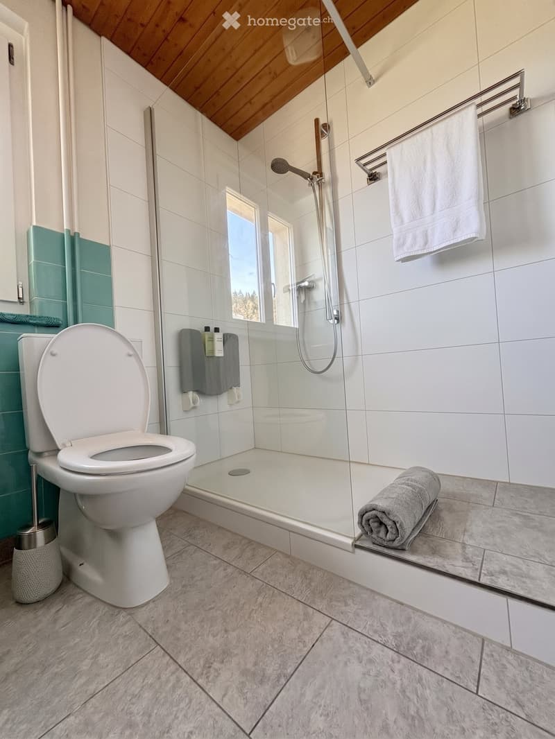 Modern bathroom with a toilet, glass-enclosed shower, towel rack, and a window offering a view.