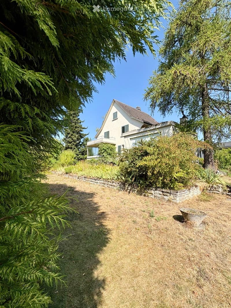 A well-maintained garden area with a gravel pathway leading to a white house with a sloped roof and large windows. The garden is surrounded by tall evergreen trees and shrubs, creating a serene and private setting.