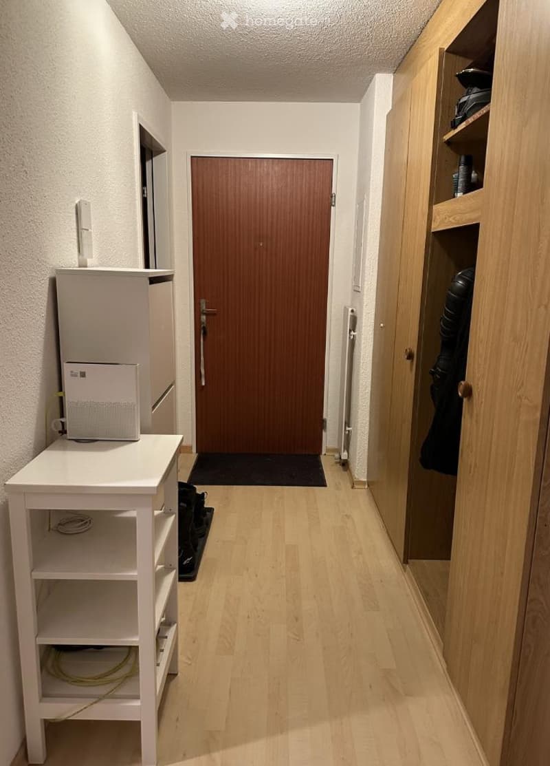 A narrow hallway with light wooden flooring, white walls, and a central wooden door. A small white shelf unit with electronic equipment is on the left, and a wooden wardrobe with shelves is on the right.