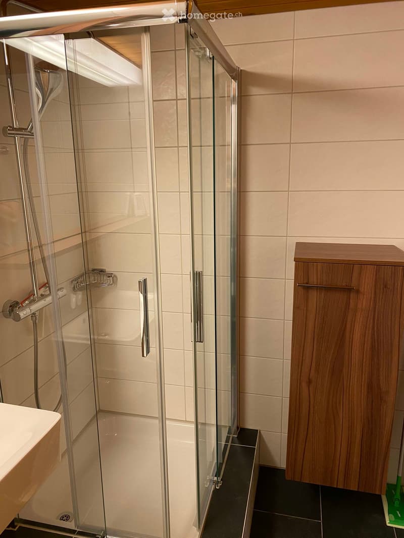Modern bathroom, walk-in shower, glass door, white tiled walls, white sink, wooden cabinet
