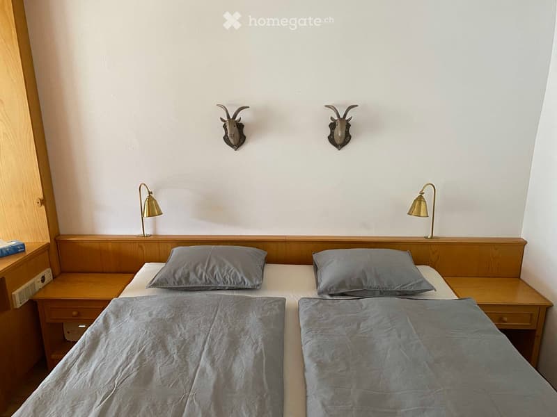 Twin beds, bedside tables, decorative animal heads, brass lamps, white wall, wooden bedhead
