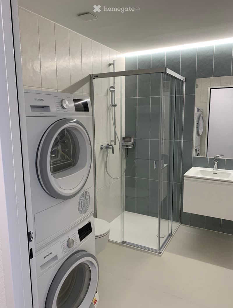 Modern bathroom with a glass-enclosed shower, a white washing machine, a sink, and a toilet.