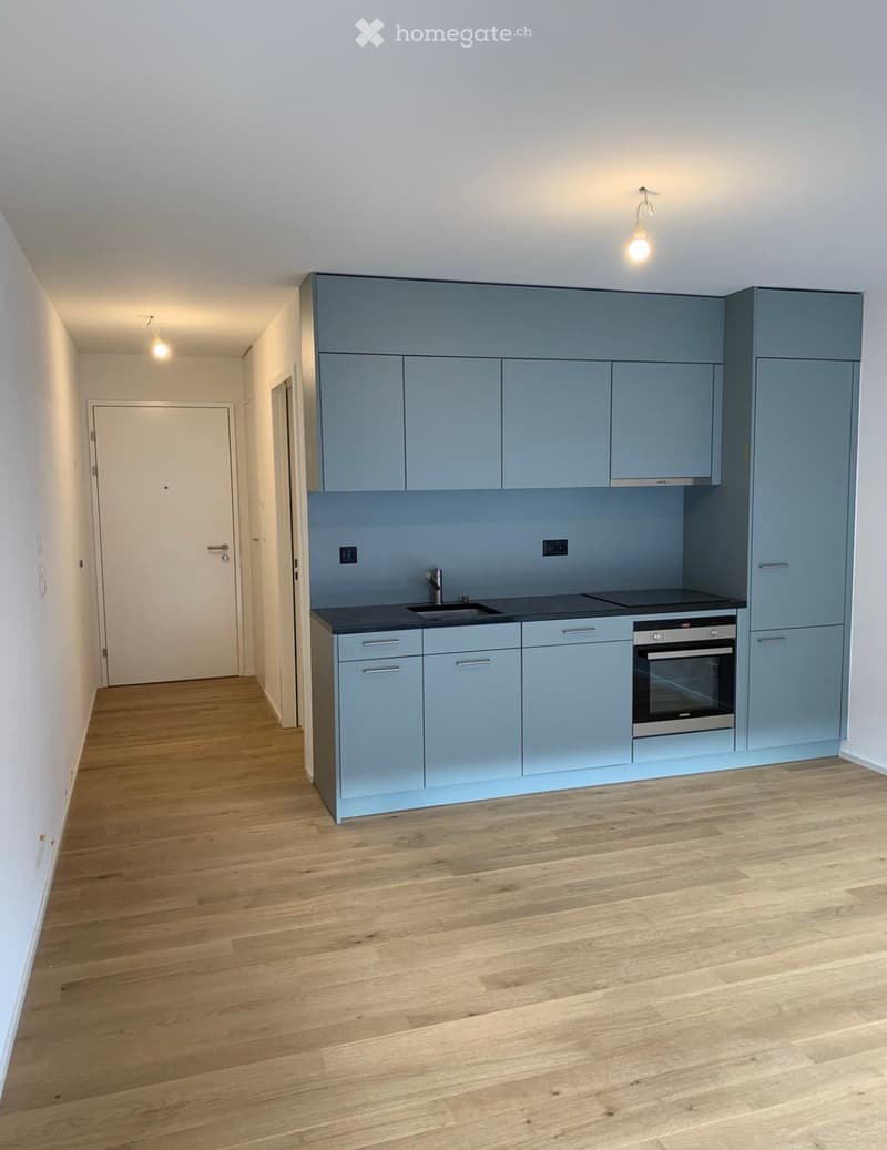 Modern kitchen with light blue cabinets, a sink, and an oven, featuring wooden flooring and white walls.
