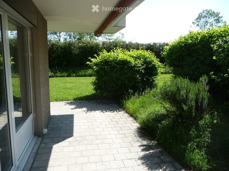 Brick pathway leading to a grassy area bordered by hedges and shrubs, with a modern building on the left.
