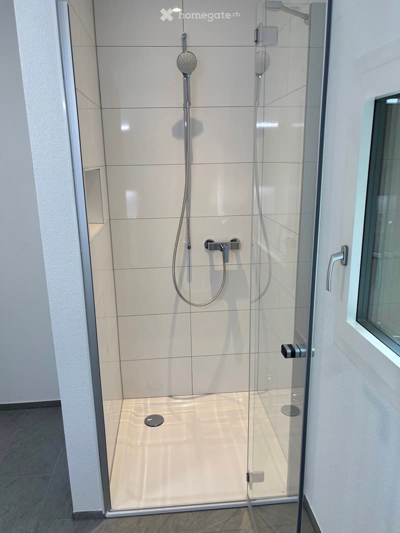 Modern shower stall with glass enclosure, white tiled walls, and a handheld showerhead.