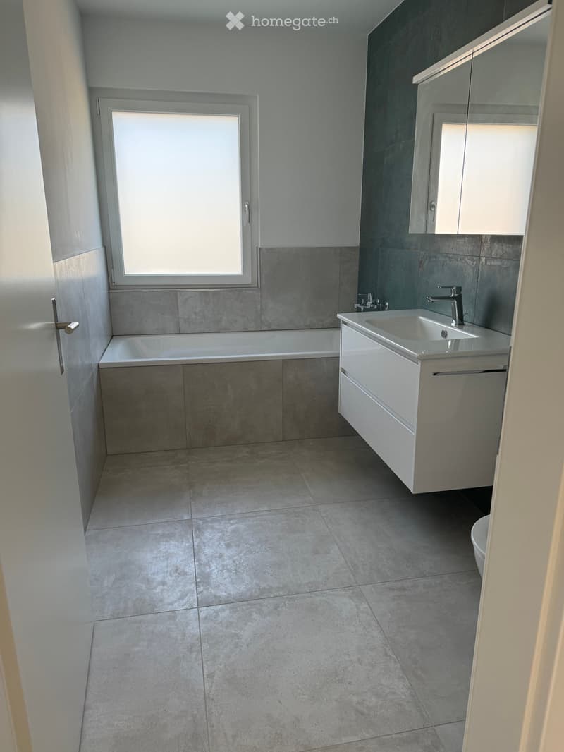 Modern bathroom with grey tiles, a bathtub, a sink with a modern faucet, a mirrored cabinet, and a toilet.