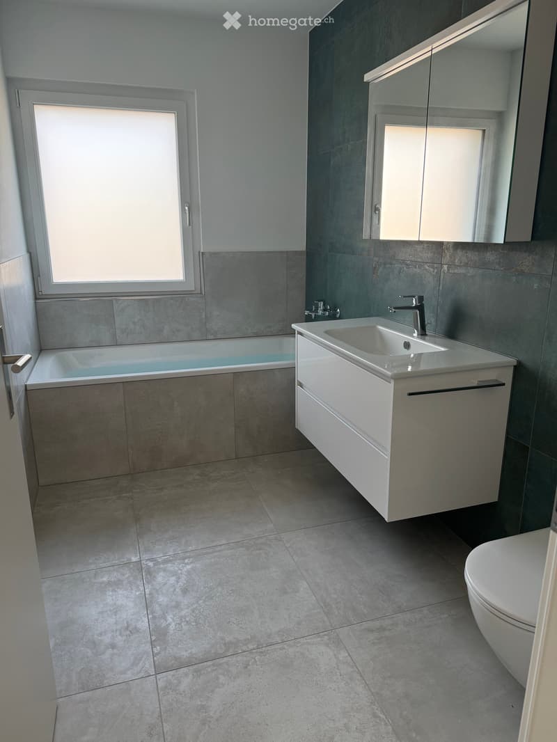Modern bathroom with a bathtub, sink, mirror, and toilet. Grey tiles and white cabinetry.