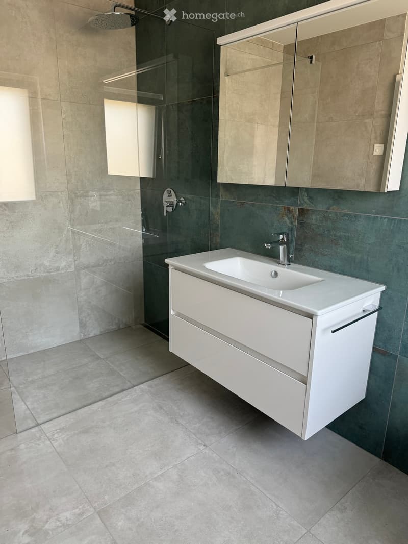Modern bathroom with a white sink, sleek faucet, mirrored cabinet, and a glass-enclosed shower area.