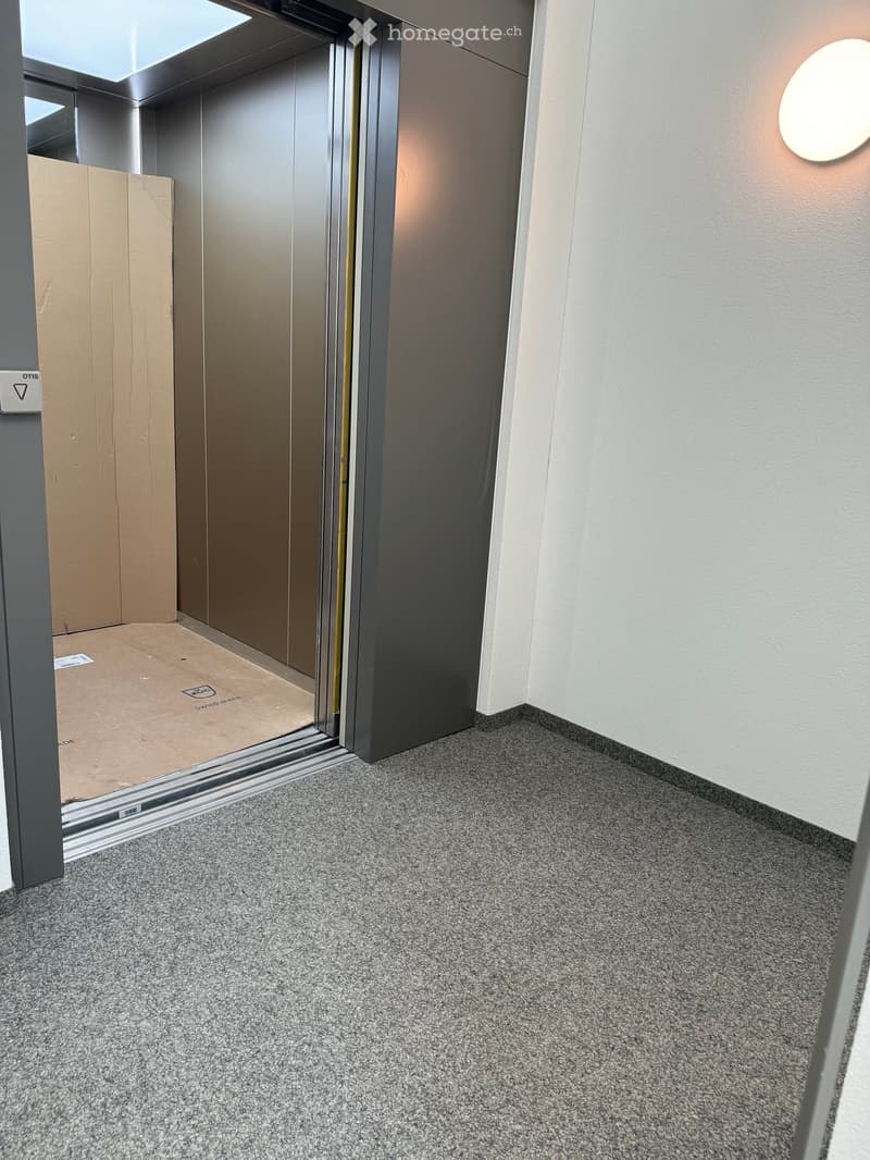 Carpeted hallway with an elevator door open, showing a cardboard box inside the elevator. The hallway has a modern design with grey walls and a round light fixture on the wall.