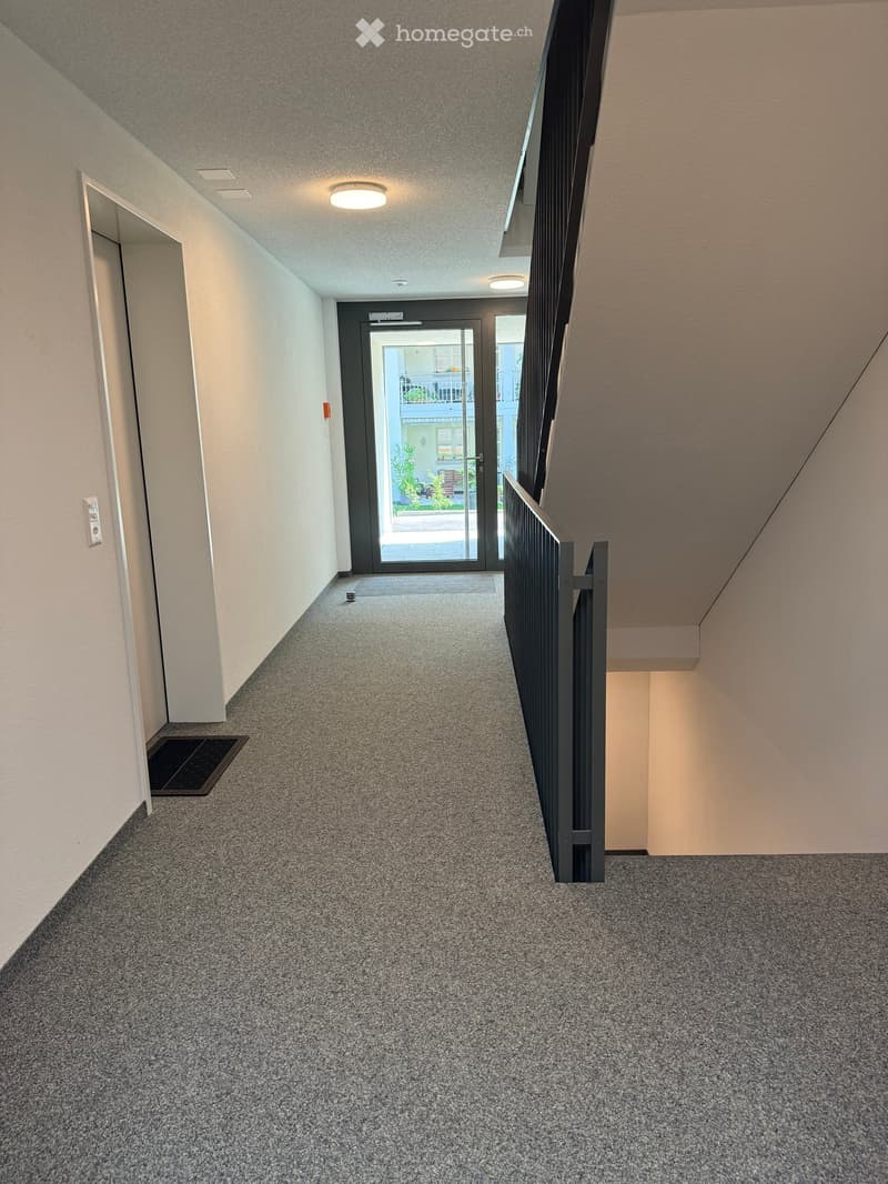 Clean, modern hallway with carpeted floor, white walls, and a staircase leading upwards. Features a glass door at the end leading to an outdoor area with plants visible.