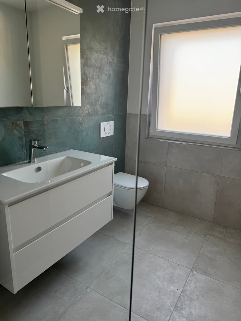 Modern bathroom with a white sink, chrome faucet, white cabinet, and toilet. Grey tiled walls and floor, large window with frosted glass, and a mirrored cabinet above the sink.