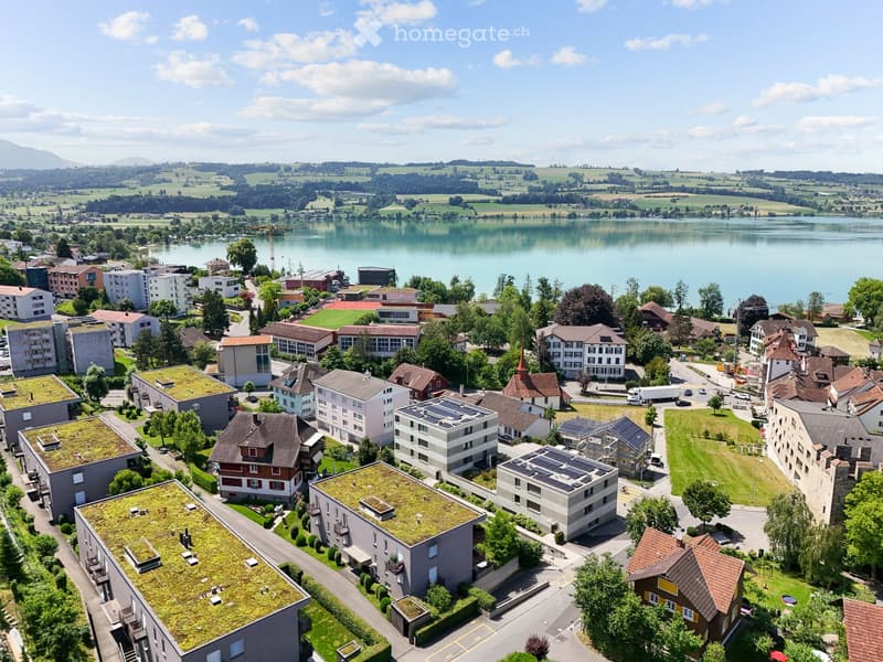 Aerial view of a town with residential and commercial buildings, green spaces, and a lake in the background.