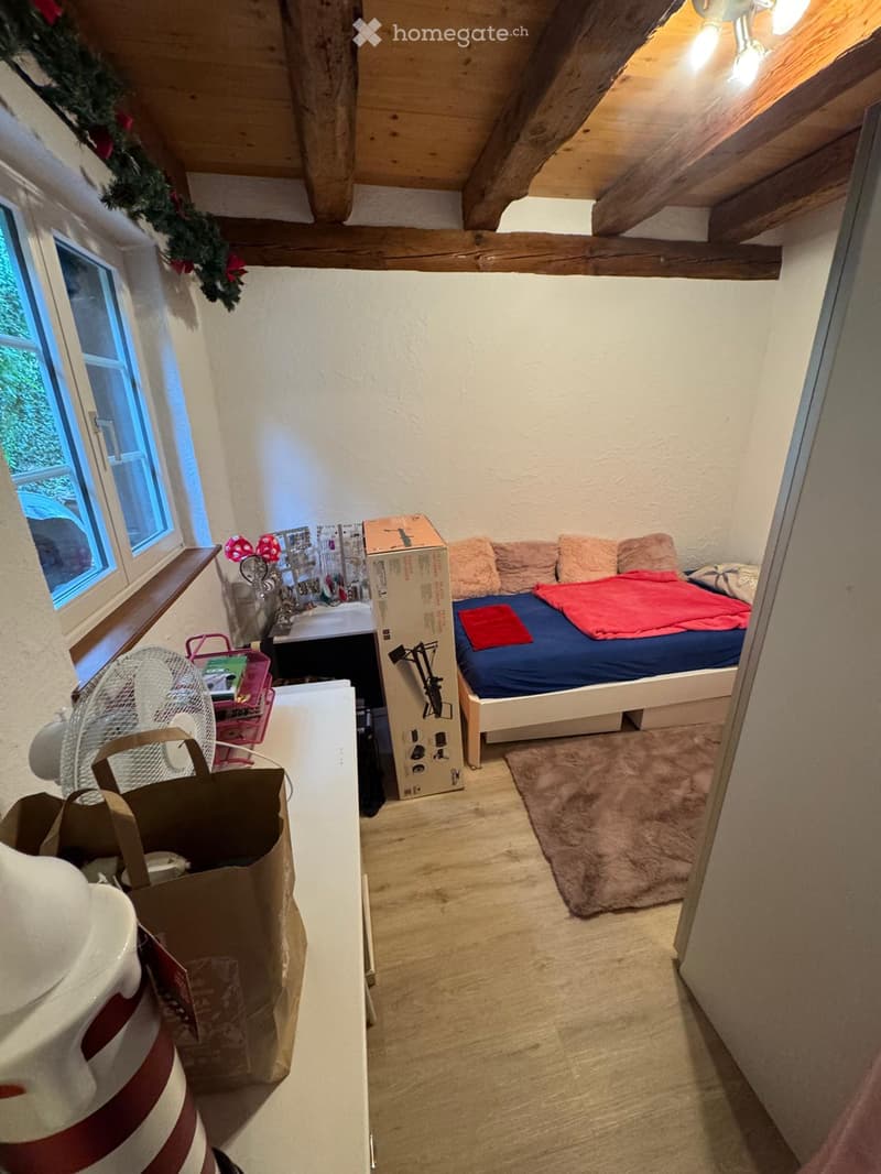 A small, cozy bedroom with wooden beams and exposed wooden ceiling. Features a bed with blue and red bedding, a fan, a handbag, a table, a chair, a mirror, a shower, a cupboard, and a stool.