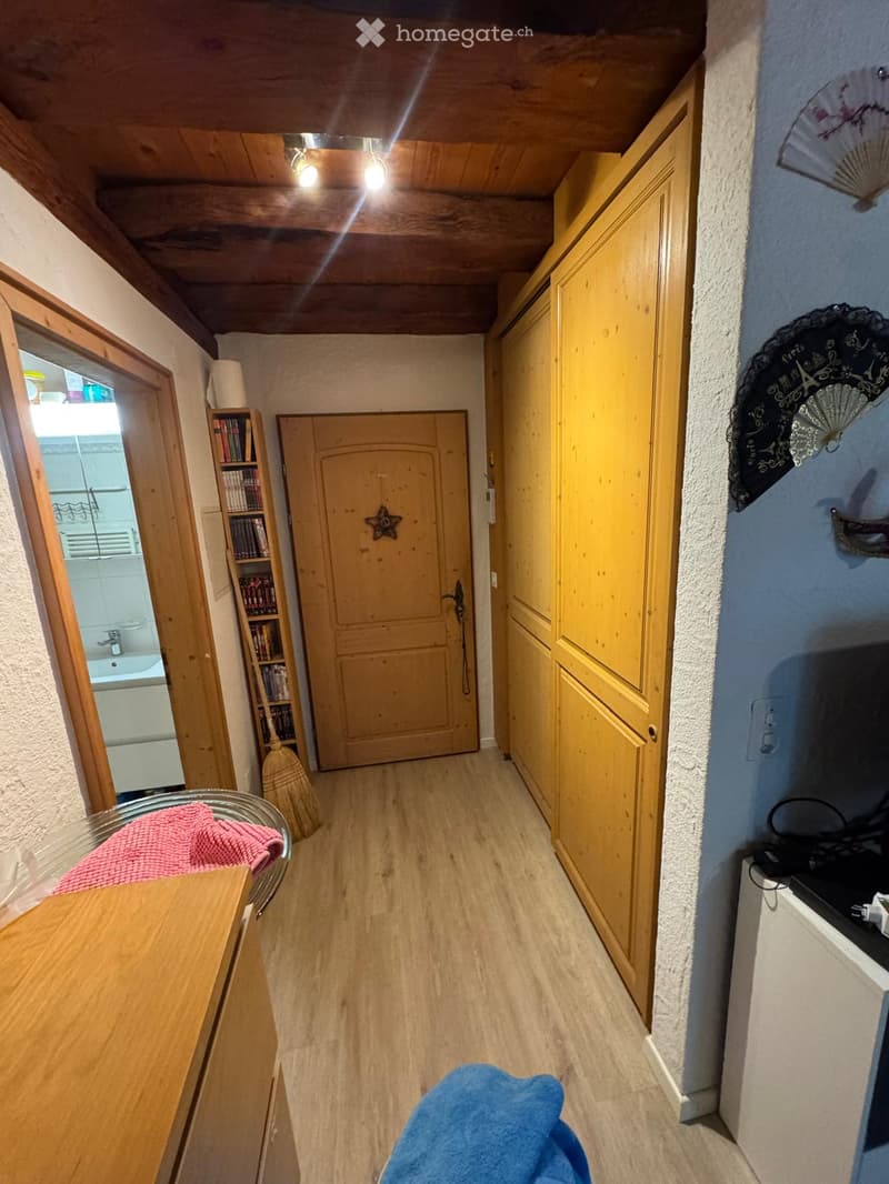 Wooden hallway with multiple doors, a broom, a shelf with books, and a fan on the wall.