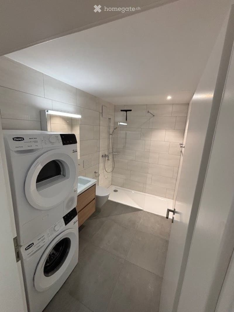 Modern compact bathroom with a shower, washing machine, dryer, sink, and toilet.
