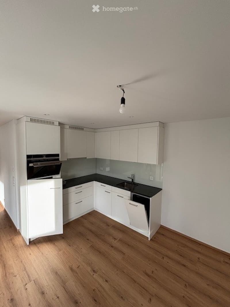 Modern kitchen with white cabinets, black countertops, and wooden flooring. Features include a refrigerator, oven, sink, and built-in cabinets.