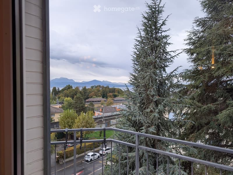 Balcony overlooking a residential area with trees, parked cars, and distant mountains under a cloudy sky.