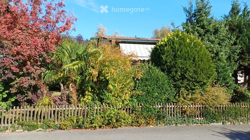 Einfamilienhaus in Waltenschwil (5)