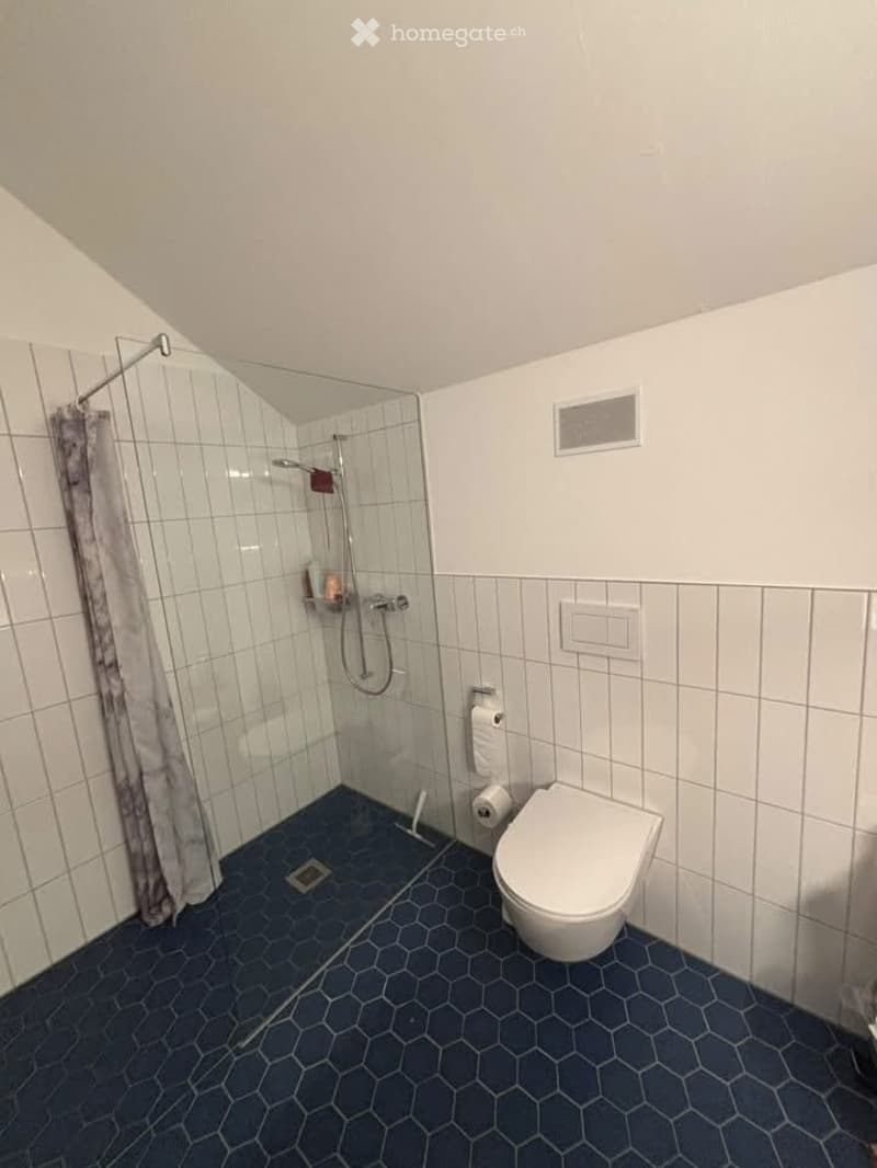 Modern bathroom with white tiles, blue hexagonal floor tiles, a glass-enclosed shower, and a toilet.