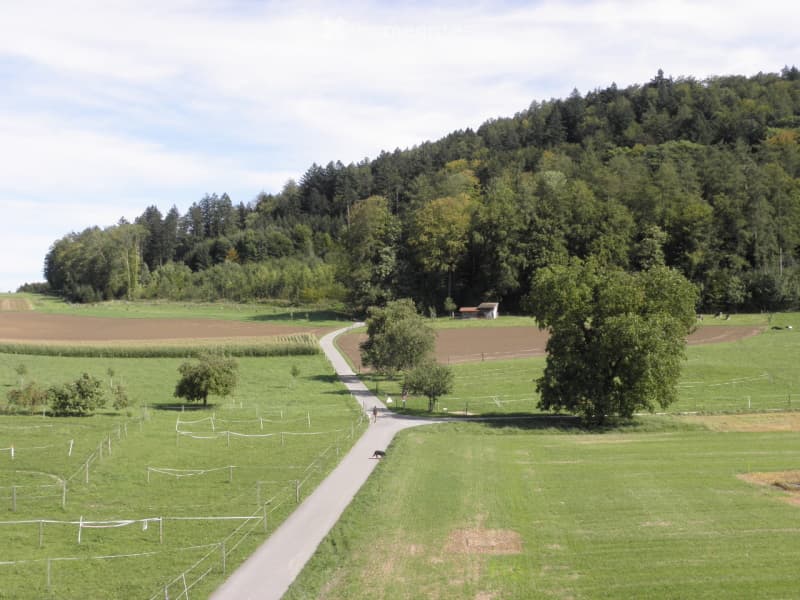 A peaceful rural landscape with green fields, a winding road, scattered trees, and a small building in the distance.