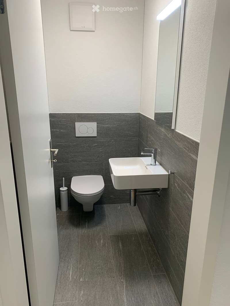 Modern bathroom with dark grey tiles, white toilet, sink, and mirror. Includes a light fixture and a toilet paper holder.