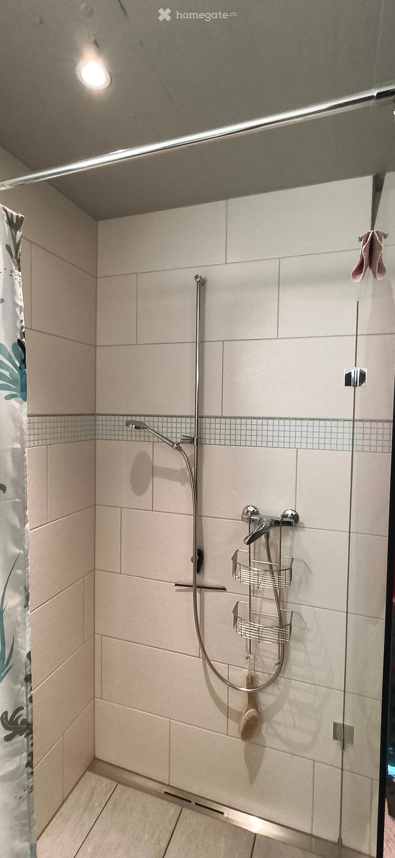 Modern shower area with beige tiles, a glass shower enclosure, a handheld showerhead, and a built-in shower basket for storage.