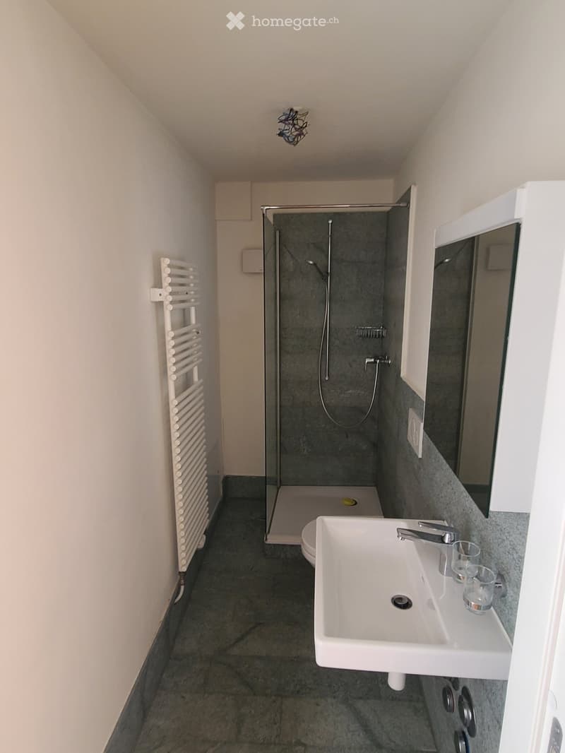 Modern bathroom with a white sink, mirror, radiator, glass-enclosed shower, and toilet. Dark grey tiles on walls and floor.
