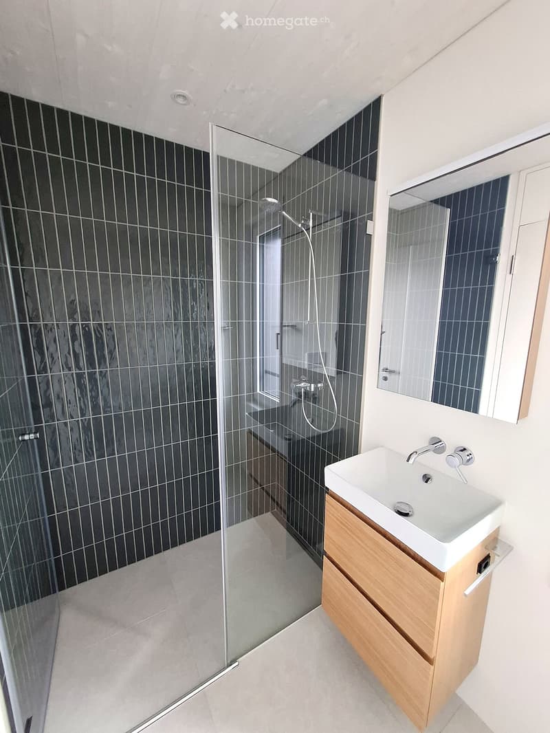 Modern bathroom with a glass-enclosed shower, dark grey tiled walls, a white sink with a wooden cabinet, and a large mirror above the sink.