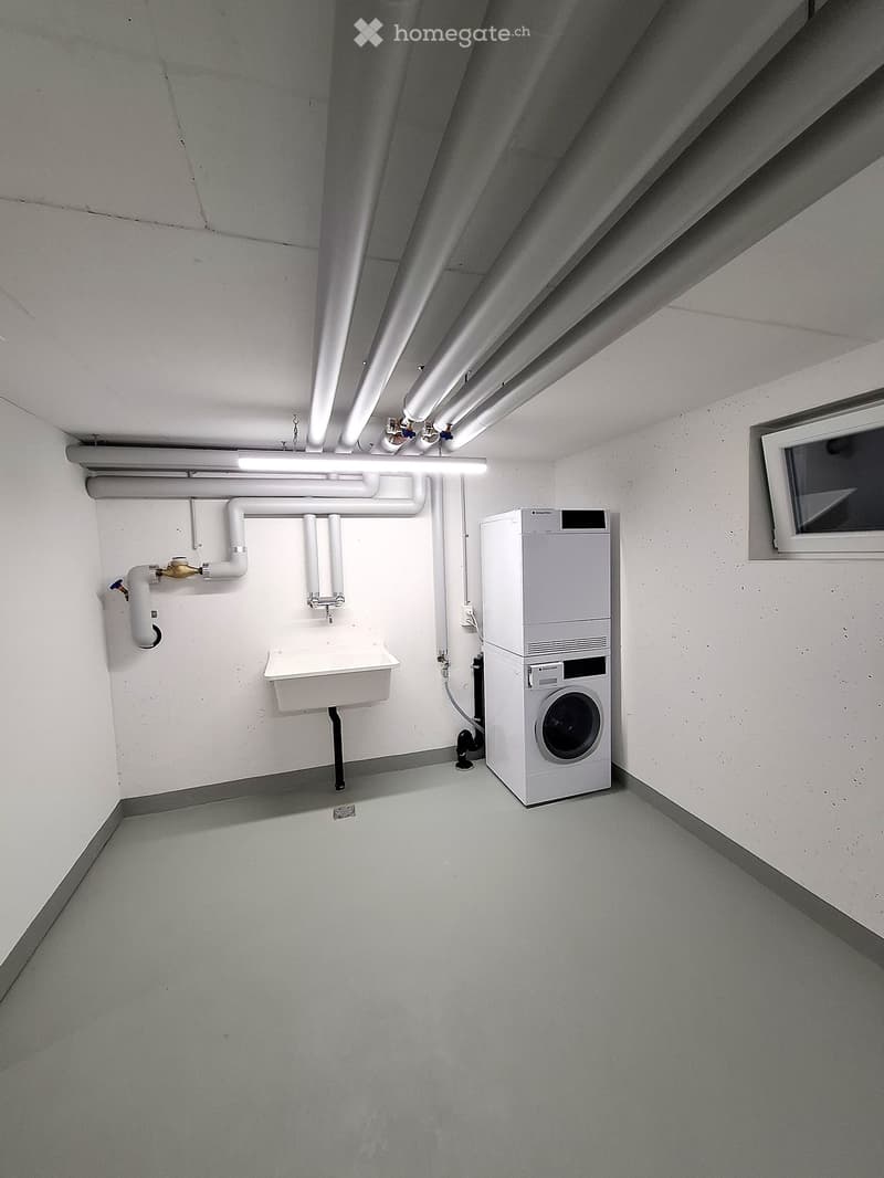 Clean, modern utility room with a washing machine, sink, and exposed pipes.