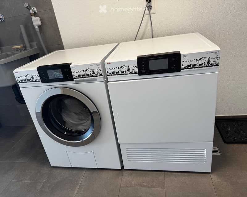 washer and dryer next to each other with decorative fronts