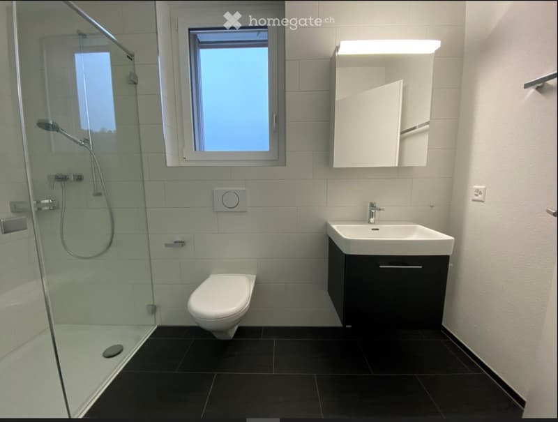 Modern bathroom with white tiles, black floor, glass-enclosed shower, toilet, sink with mirror, and built-in cabinet.