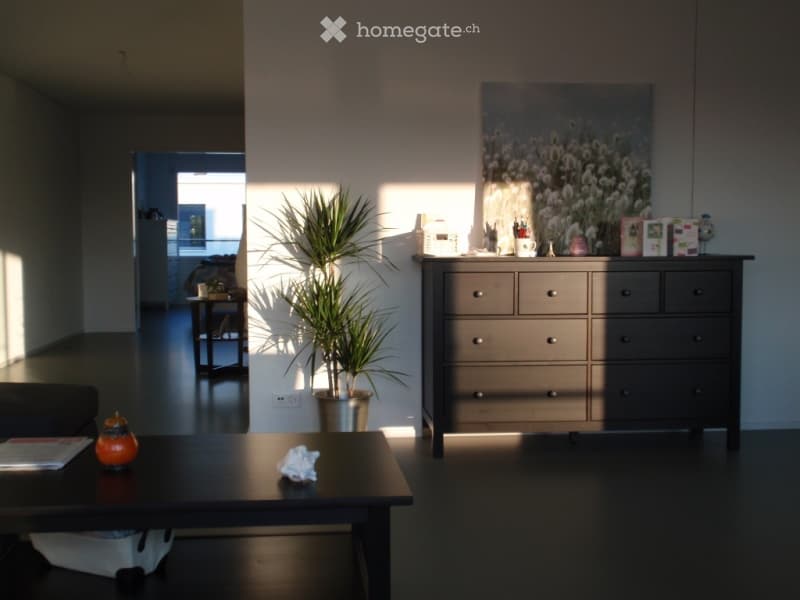 Modern living room with dark flooring, a grey sofa, a black coffee table with a plant and decorative items, and a large cabinet with drawers and a picture frame on top.