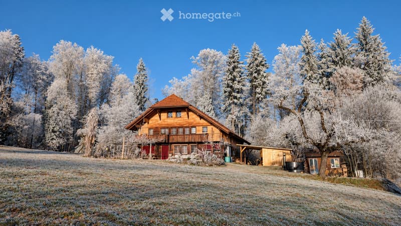 A wooden house with a red roof and white-framed windows, surrounded by snow-covered trees and a frosty yard.