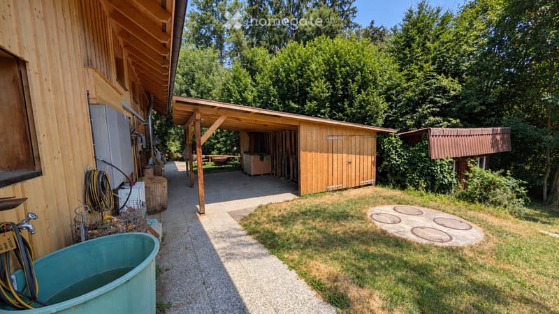 Outdoor area with a wooden shed, covered patio, grassy lawn, and a small blue tub. Tools and storage items are visible near the house.