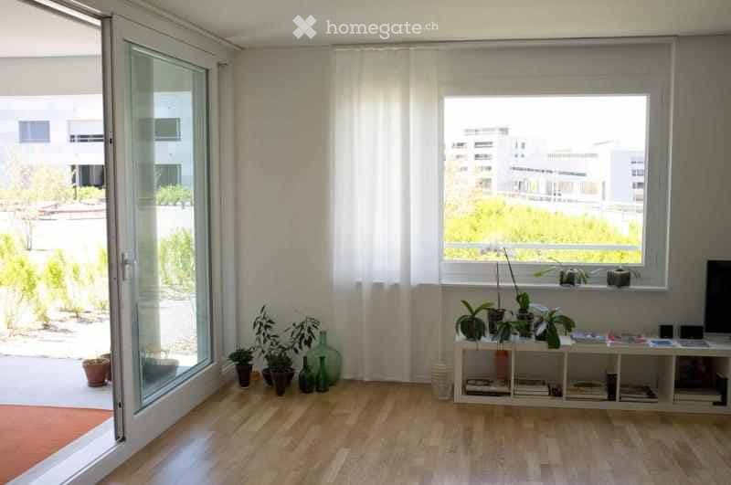 Bright, modern living room with large windows and a view, featuring a white shelf unit with books and decorative items, several potted plants, and glass vases near the window.