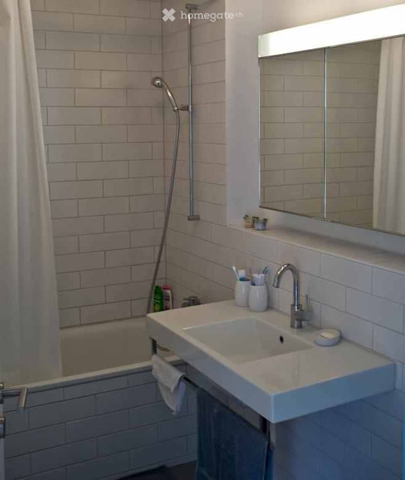 Modern bathroom with white brick tiles, a white sink with a chrome faucet, a large mirror, and a shower hose attached to the wall.
