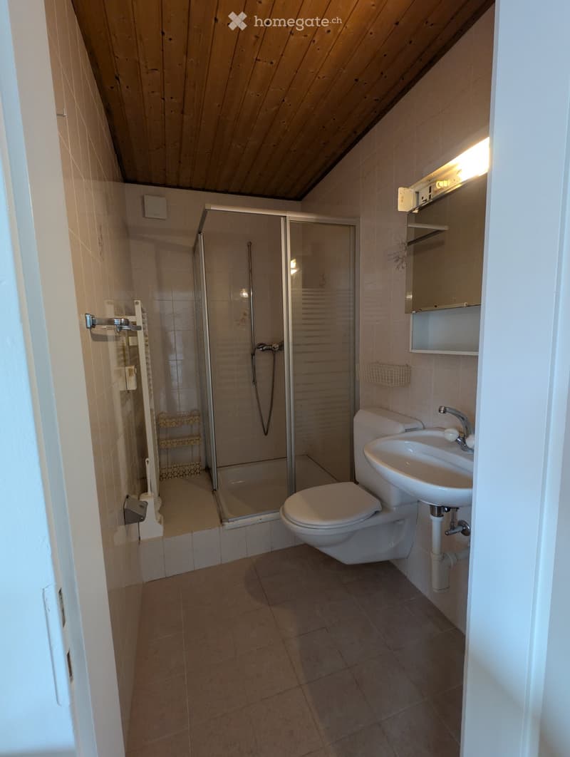 Small bathroom with a toilet, sink, and glass-enclosed shower. Light wood ceiling and beige tiled walls.