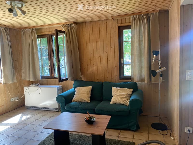 Cozy living room with wooden walls and ceiling, green sofa with two throw pillows, wooden coffee table with a bowl, floor lamp, radiator, and large windows with curtains.