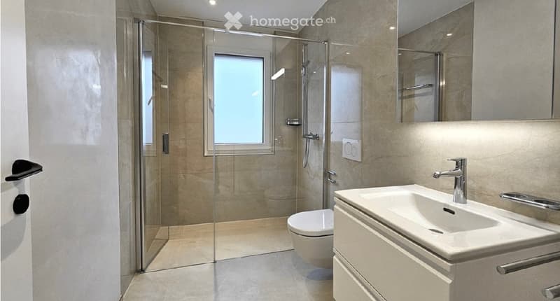 Modern bathroom with a white sink, chrome faucet, toilet, glass-enclosed shower, and a large mirror above the sink.